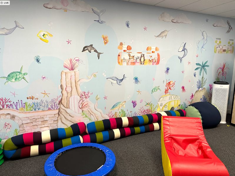 Transform Your Learning Environment: The Calming Influence of Our Under the Sea Sensory Room Wall for Meadows Primary School