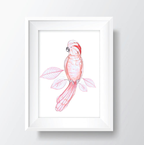 Bird Print