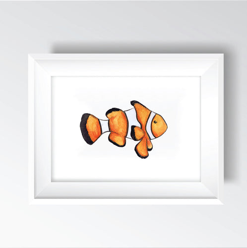 Clown Fish Print