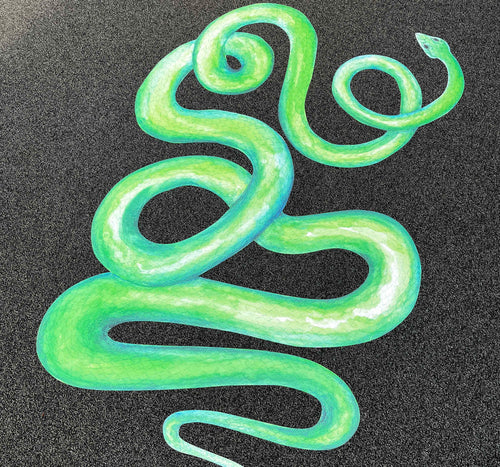 Swirly Snake Floor Decals