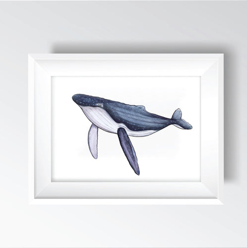 Whale Print