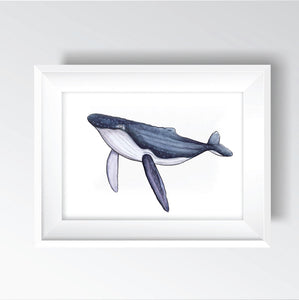 Whale Print
